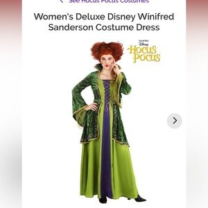 Disney Hocus Pocus Green and Purple Costume